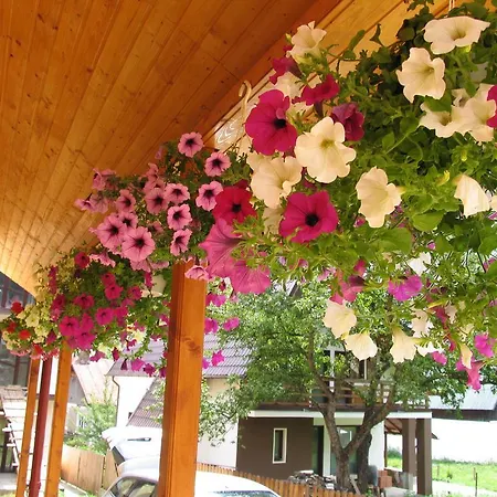 Homestay Casa Munte *